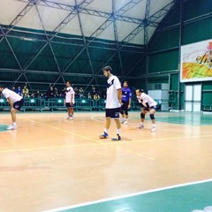 Telmasud Volley
