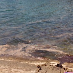 Chiazze scure nel mare nei pressi di CapoColonna