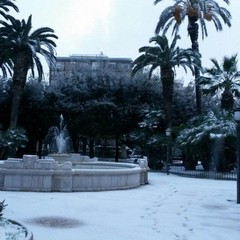 Neve a Trani 2014