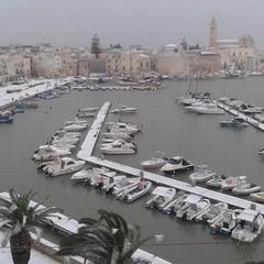 Neve a Trani 2014