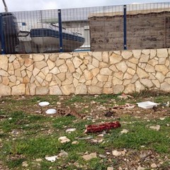 Zona macello, casse con carne animale e rifiuti abbandonati sul suolo pubblico