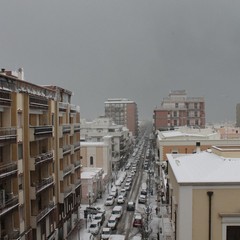 Neve a Trani 2014 - le foto di Francesco Tito