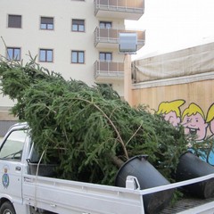 Alberi di Natale in periferia