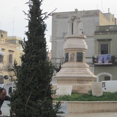 Alberi di Natale in periferia