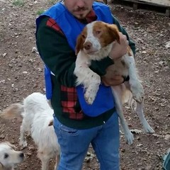 OIPA, in difesa degli animali