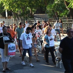 Manifestazione "pro mare" a Trani