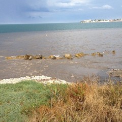 Maltempo: auto bloccate e tanta sporcizia in mare