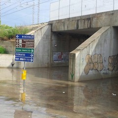 Maltempo: auto bloccate e tanta sporcizia in mare