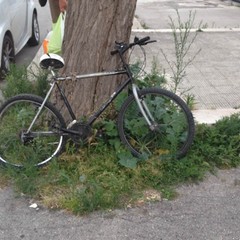 Incidente su via Malcangi, una donna d'urgenza in ospedale