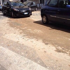 I fanghi dispersi lungo la città