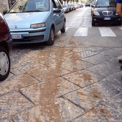 I fanghi dispersi lungo la città