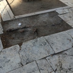 Degrado piazzetta di via Andria