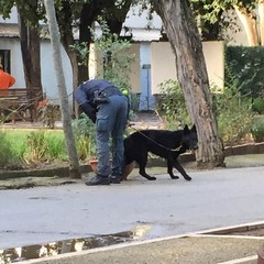 polizia villa comunale 2