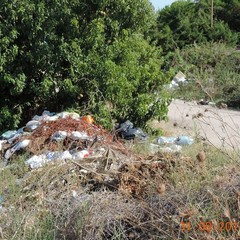 Rifiuti nelle periferie, nuovo report della Folgore