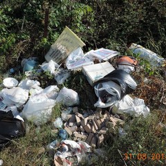 Rifiuti nelle periferie, nuovo report della Folgore