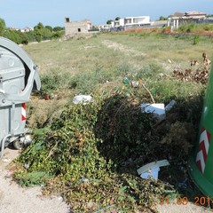 Rifiuti nelle periferie, nuovo report della Folgore