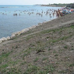 Green Bat, continua l'operazione Spiagge Pulite