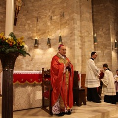 Sinodo della Chiesa di Trani