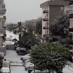 Neve a Trani 2014 - le foto di Stefania Ghio