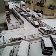 Neve a Trani 2014 - le foto di Stefania Ghio