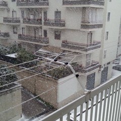 Neve a Trani 2014 - le foto di Stefania Ghio