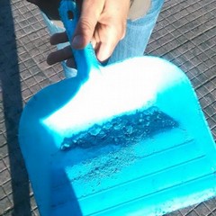 Cittadina rimuove topicida