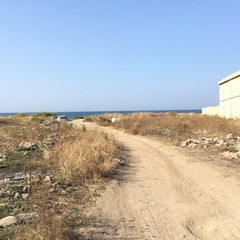 San Marco Sud e inciviltà: le foto dello scempio.