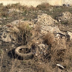 San Marco Sud e inciviltà: le foto dello scempio.