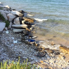 San Marco Sud e inciviltà: le foto dello scempio.