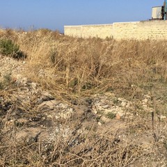 San Marco Sud e inciviltà: le foto dello scempio.