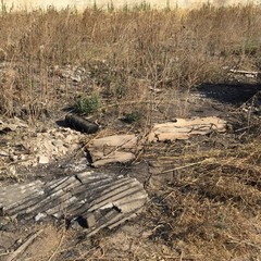 San Marco Sud e inciviltà: le foto dello scempio.