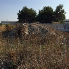 San Marco Sud e inciviltà: le foto dello scempio.