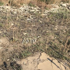 San Marco Sud e inciviltà: le foto dello scempio.