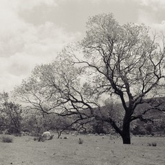 Porti Urbani - Mariano Doronzo