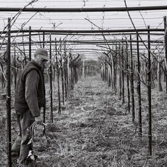 Porti Urbani - Mariano Doronzo