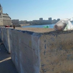 Rifiuti, sporcizia, degrado lungo il Braccio, Porto, Monastero e Mattinelle