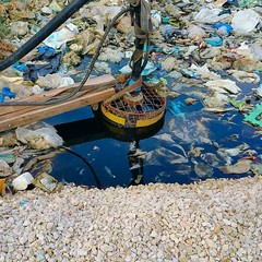 Le foto shock mostrate dal parlamentare