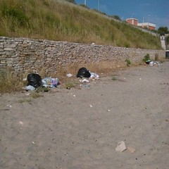 Rifiuti, sporcizia, degrado lungo il Braccio, Porto, Monastero, Mattinelle