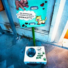 Ciotole di acqua per cani e gatti