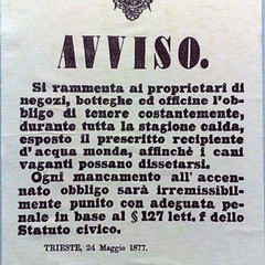 Ciotole di acqua per cani e gatti