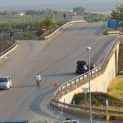 Viale Germania, asfalto disastrato e ricco di buche