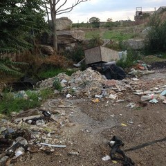 Rifiuti nella zona alle spalle dell'hotel Trani