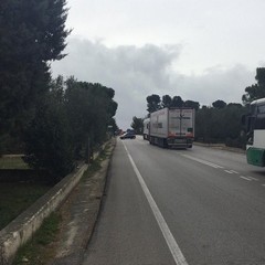 Incidente sulla Trani-Corato, morto un motociclista barlettano