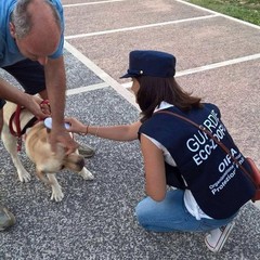 Nucleo Guardie Zoofile Oipa