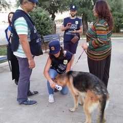 Nucleo Guardie Zoofile Oipa