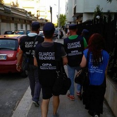 Nucleo Guardie Zoofile Oipa