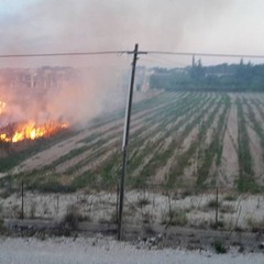 Incendio nella periferia di Trani