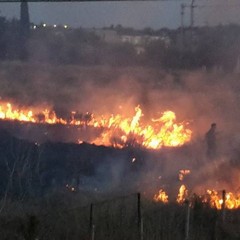 Incendio nella periferia di Trani