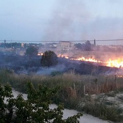Incendio nella periferia di Trani