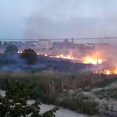 Incendio nella periferia di Trani